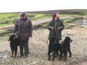 GSFTS Breed Stake
