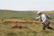 Breed Stake