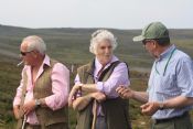 GSFTS Breed Stake