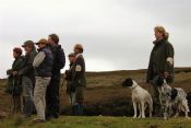 GSFTS - Puppy Stake Winner