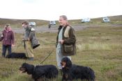 GSFTS - Breed Stake Winner