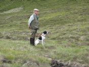 PCS - Puppy Stake Competitor