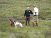 PCS - Puppy Stake Competitors