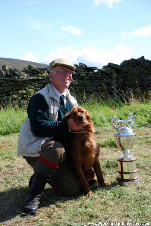 Working Gordon Setters Field Trial Dogs in the UK