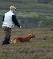 2009 British Champion Stake Winner