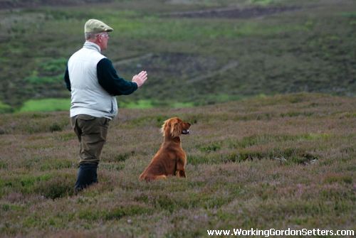 2009 British Champion Stake Winner