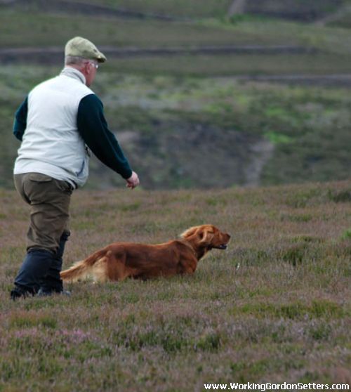 2009 British Champion Stake Winner