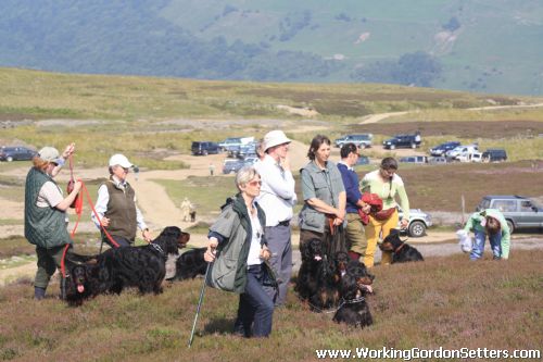 GSFTS Breed Stake