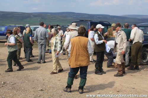 GSFTS Breed Stake