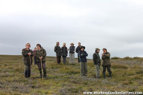 GSFTS - Puppy Stake Spectators