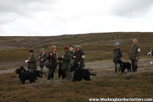 GSFTS - Breed Stake Competitors