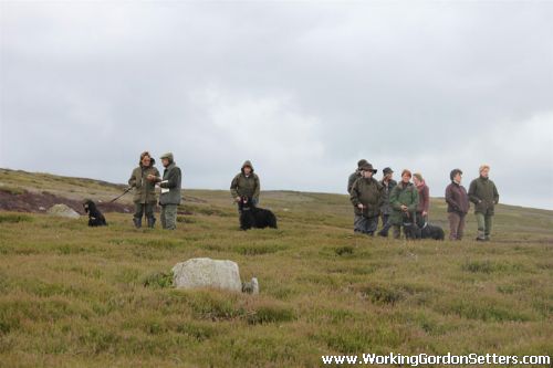 GSFTS - Breed Stake Competitors